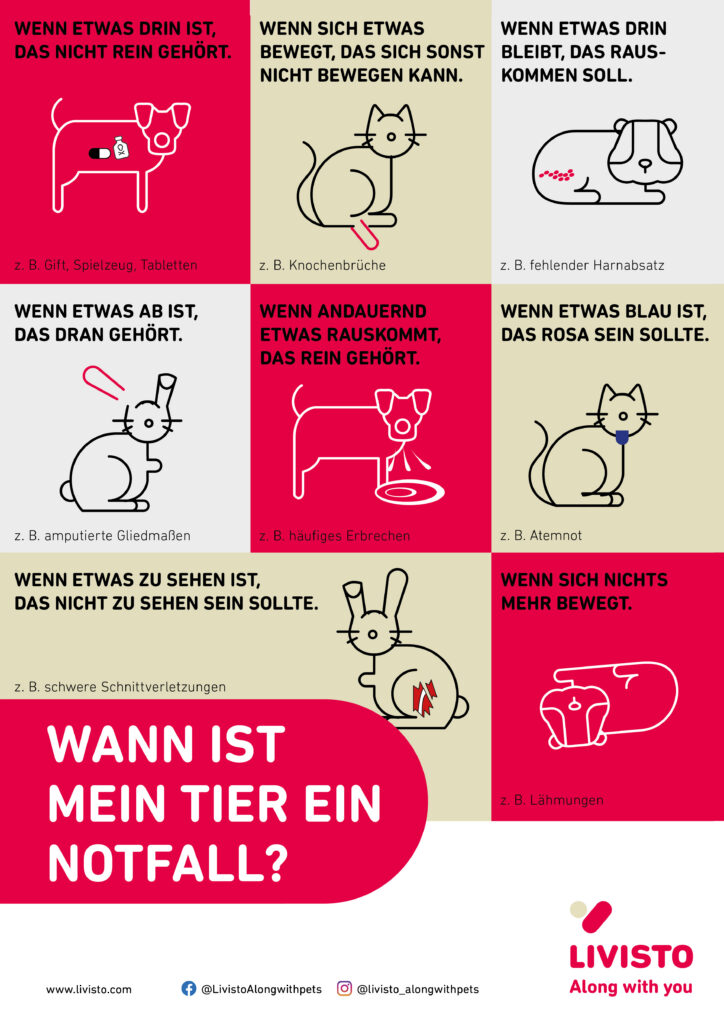 Informationsposter zur Erkennung von Notfällen bei Haustieren.