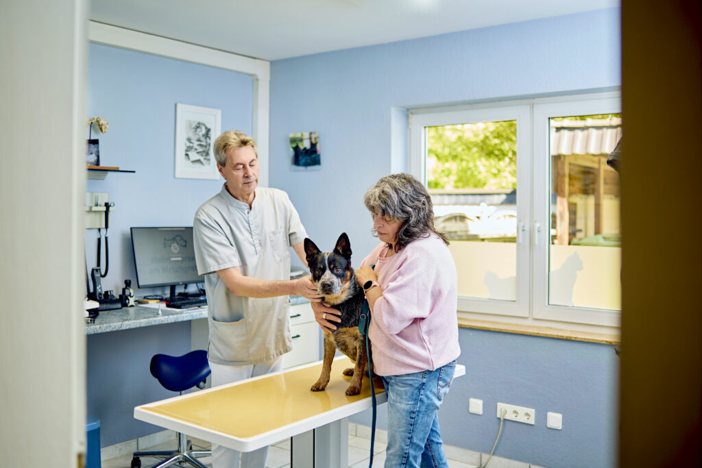 27-Hund-auf-Behandlungstisch-Kleintierpraxis-am-Hirschgraben Hund sitzt auf einem Behandlungstisch. Eine Frau hält ihn fest, auf der anderen Seite steht ein Tierarzt.