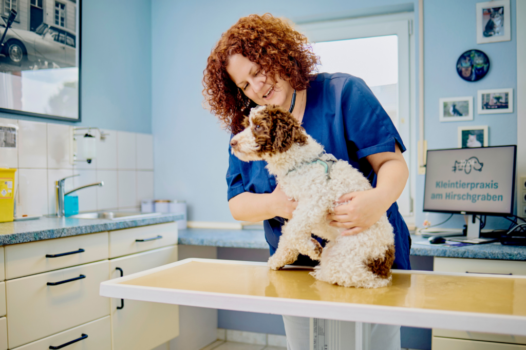31-Abhören-Hund-Kleintierpraxis-am-Hirschgraben Tierärztin hört Hund auf Lungengeräusche ab.