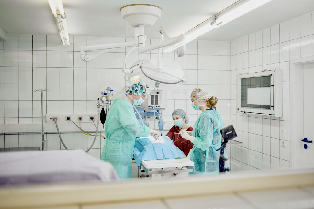 39-Tierärzteteam-im-OP-Kleintierpraxis-am-Hirschgraben Tierärzte in grünen OP-Kitteln im OP-Raum